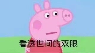 万万没想到我看个催泪节目，却笑出了猪叫