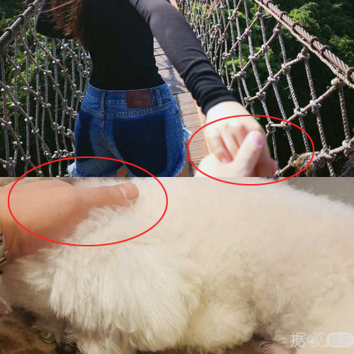 张馨予终于谈恋爱了？对方还是个帅气的兵哥哥？