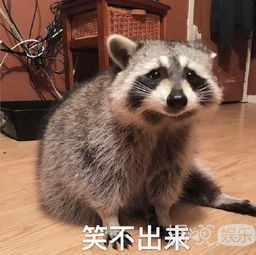 多多和妹妹时装周走秀,回忆一下当年爸哪的小萌娃 多多和妹妹时装周走秀,回忆一下当年爸哪的小萌娃
