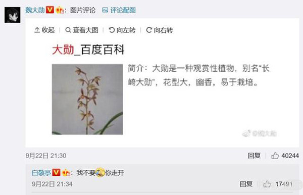 相爱相杀的白敬亭和魏大勋，才是兄弟情的正确打开方式