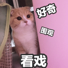 跟英国女王抢时间?打王者赢过鹿晗?这个御姐有点厉害啊 跟英国女王抢时间?打王者赢过鹿晗?这个御姐有点厉害啊