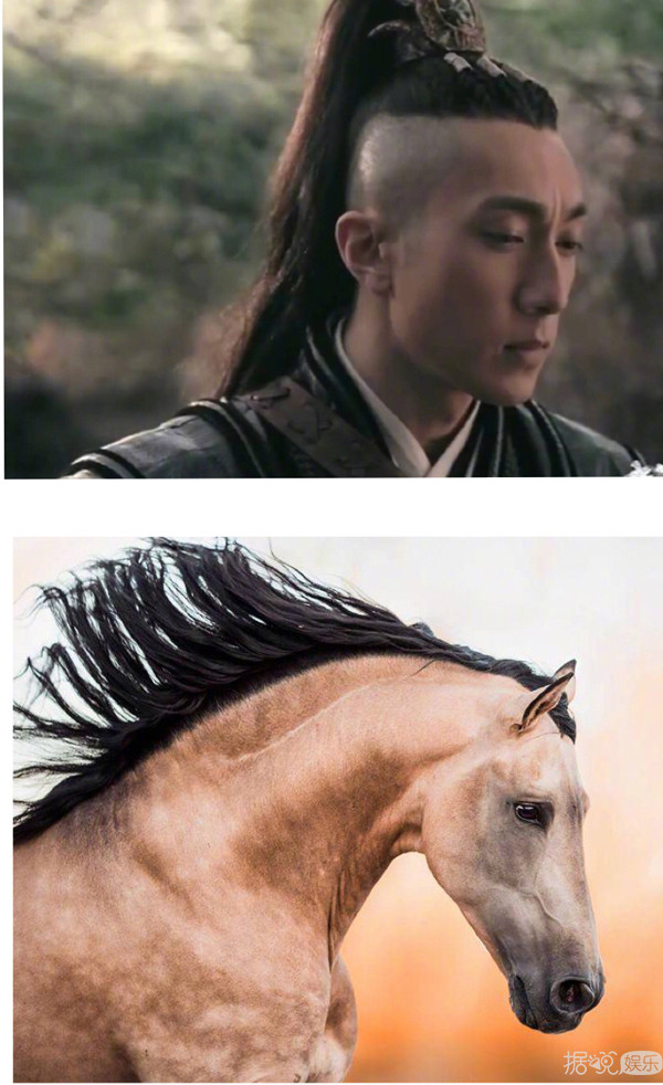 闭关一年后，杨洋居然从高冷男神变成搞笑表情包了？