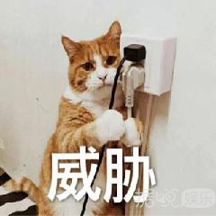 本想围观火箭少女退团大战,哪知道被王思聪杨超越塞了满嘴狗粮 本想围观火箭少女退团大战,哪知道被王思聪杨超越塞了满嘴狗粮