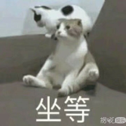 本想围观火箭少女退团大战,哪知道被王思聪杨超越塞了满嘴狗粮 本想围观火箭少女退团大战,哪知道被王思聪杨超越塞了满嘴狗粮