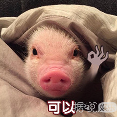如懿传又双叒延播,这次片源还遭到泄露,太惨了 如懿传又双叒延播,这次片源还遭到泄露,太惨了