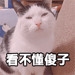 花了三个亿的如懿传，就不能请个年轻女孩演少女？