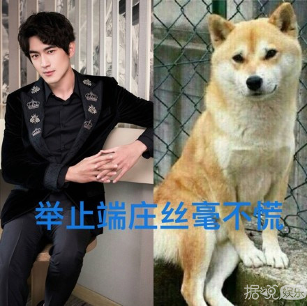 林更新和粉丝互怼太刺激了！这样画风清奇的男星还不止他一个？