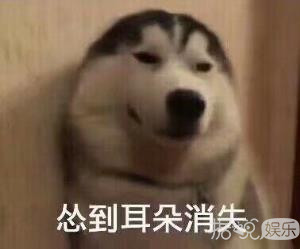 看完香港媒体的销魂标题，再看我们的标题党实在太辣鸡了