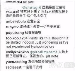 台风来了，一众明星各显神通，林峰最儿戏