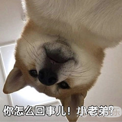 一线女星家暴男友致其毁容?真相是她被踹到子宫出血,全身淤青 一线女星家暴男友致其毁容?真相是她被踹到子宫出血,全身淤青