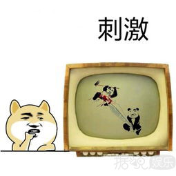 孙子来自2056年？老婆是石原里美？这个岛国综艺太刺激了