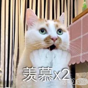 把男爱豆撩到腿软,何炅都看不下去,cp体质的鬼鬼有多厉害? 把男爱豆撩到腿软,何炅都看不下去,cp体质的鬼鬼有多厉害?