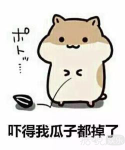 一个月发生两起打人事件，现在的节目组都这么社会吗？