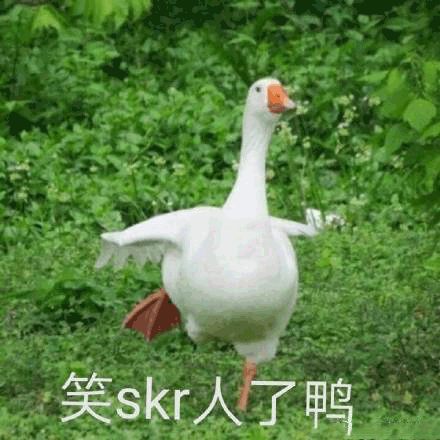 鞋码大？胶原蛋白多？这些男明星对大猪蹄子的解释简直笑SKR人