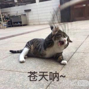 范冰冰关晓彤分不清楚，宋茜竟然是泰国人？歪果仁脸盲其实不意外