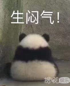 一年后就解散了，百分九的专辑和团综还不上线？团粉只能出绝招了