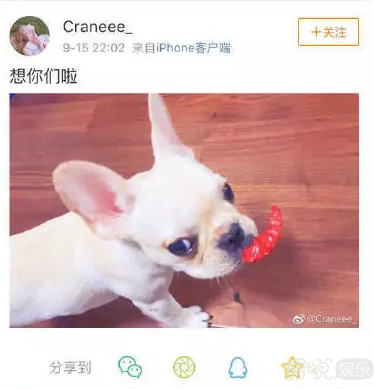 粉丝盗图和自家爱豆谈恋爱？这操作有点让人窒息