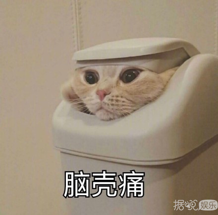 应采儿和程莉莎因为一张小票吵架？妻子团的旅行不太浪漫啊