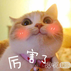 这些男爱豆对女孩子好温柔啊！他们以后的女朋友一定拯救了银河系