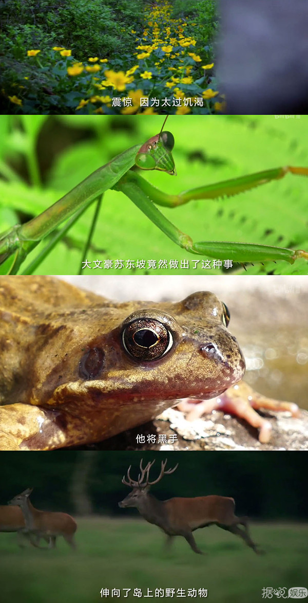 吃货苏轼?宅男溥仪?这个历史纪录片一看就不正经 吃货苏轼?宅男溥仪?这个历史纪录片一看就不正经
