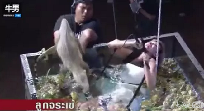 青蛙浴,蚯蚓帽子,这些综艺节目能把人吓出病来 青蛙浴,蚯蚓帽子,这些综艺节目能把人吓出病来