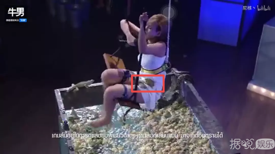 青蛙浴,蚯蚓帽子,这些综艺节目能把人吓出病来 青蛙浴,蚯蚓帽子,这些综艺节目能把人吓出病来