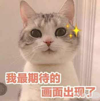 追定了！《妻子的浪漫旅行》第二季阵容也太逆天了吧