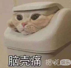 追定了！《妻子的浪漫旅行》第二季阵容也太逆天了吧