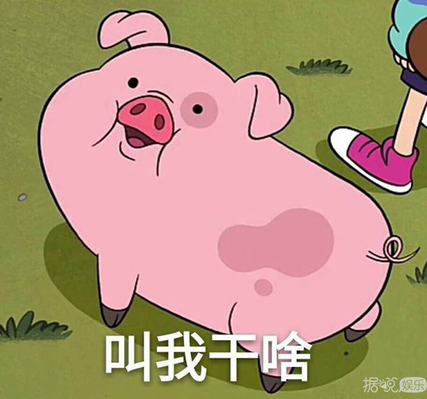 井柏然，你养猪前一定没和罗志祥交流经验吧？