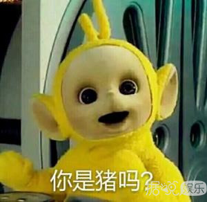 井柏然，你养猪前一定没和罗志祥交流经验吧？