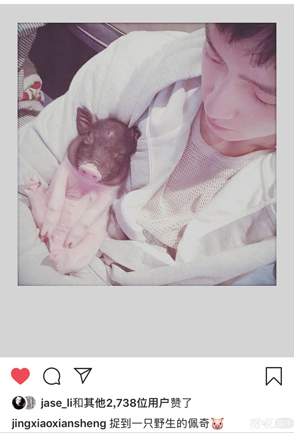 井柏然，你养猪前一定没和罗志祥交流经验吧？