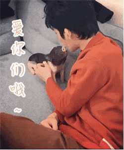 井柏然，你养猪前一定没和罗志祥交流经验吧？