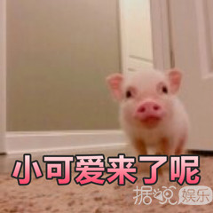 井柏然，你养猪前一定没和罗志祥交流经验吧？