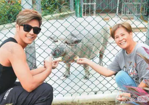 井柏然，你养猪前一定没和罗志祥交流经验吧？