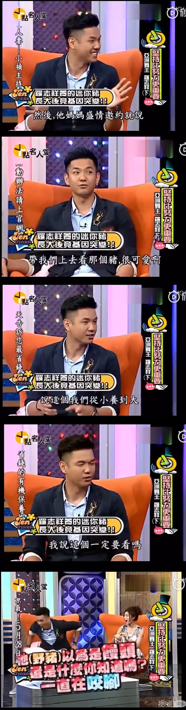 井柏然，你养猪前一定没和罗志祥交流经验吧？