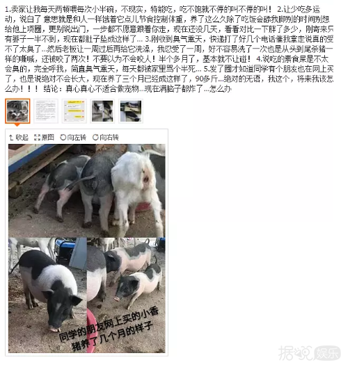 井柏然，你养猪前一定没和罗志祥交流经验吧？