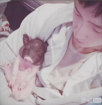 井柏然，你养猪前一定没和罗志祥交流经验吧？