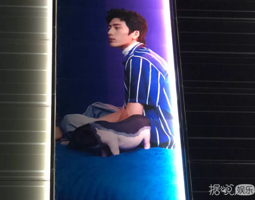 井柏然，你养猪前一定没和罗志祥交流经验吧？