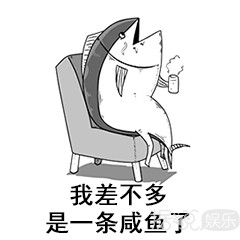 何猷君和王思聪越来越圈粉了，这大概是有钱人的魅力吧？