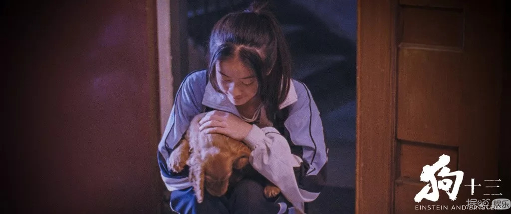 95后四小花旦评选，关晓彤票数落后，张雪迎上榜？