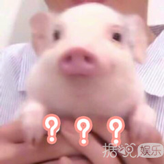 她像4点钟起来熬梨汁的女孩子吗？