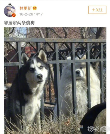 粉丝常常因为不够沙雕，而与这些明星格格不入……