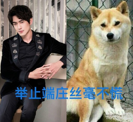 粉丝常常因为不够沙雕，而与这些明星格格不入……