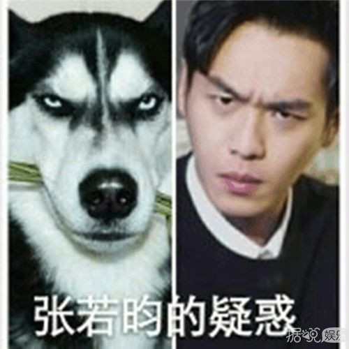 粉丝常常因为不够沙雕，而与这些明星格格不入……