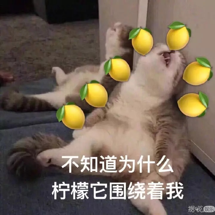 这对最萌年龄差小情侣太甜了，今天也是为别人的爱情流泪的一天