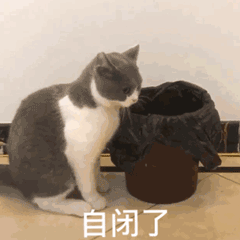 神啊，请赐我一个丑成他们这样的男朋友！！！