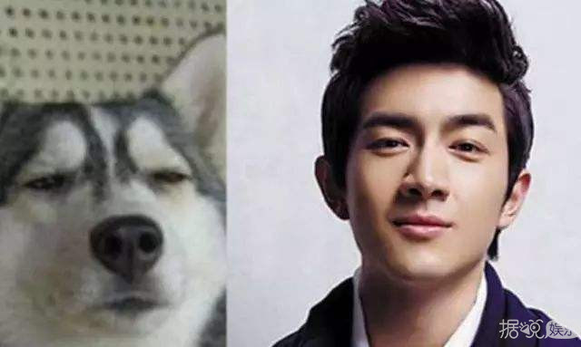 挑中的书模都成了大明星？她到底是什么天才星探啊