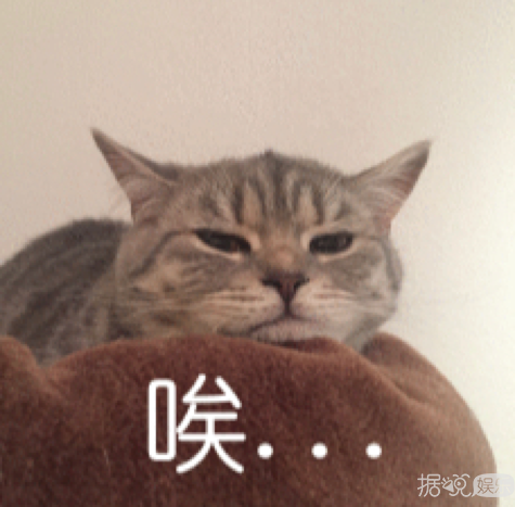 她未婚先孕了？可是豪门哪有这么好进……