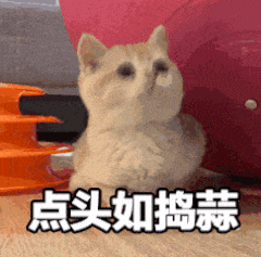 躺平认嘲？她的路人缘啥时候变得这么差了？
