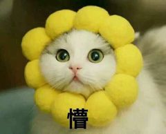 躺平认嘲？她的路人缘啥时候变得这么差了？